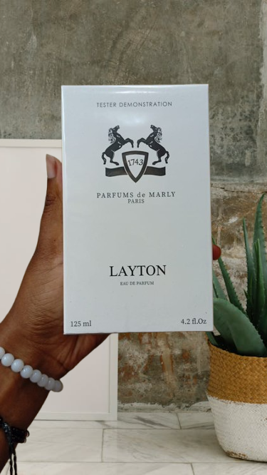 PDM layton PDM layton
