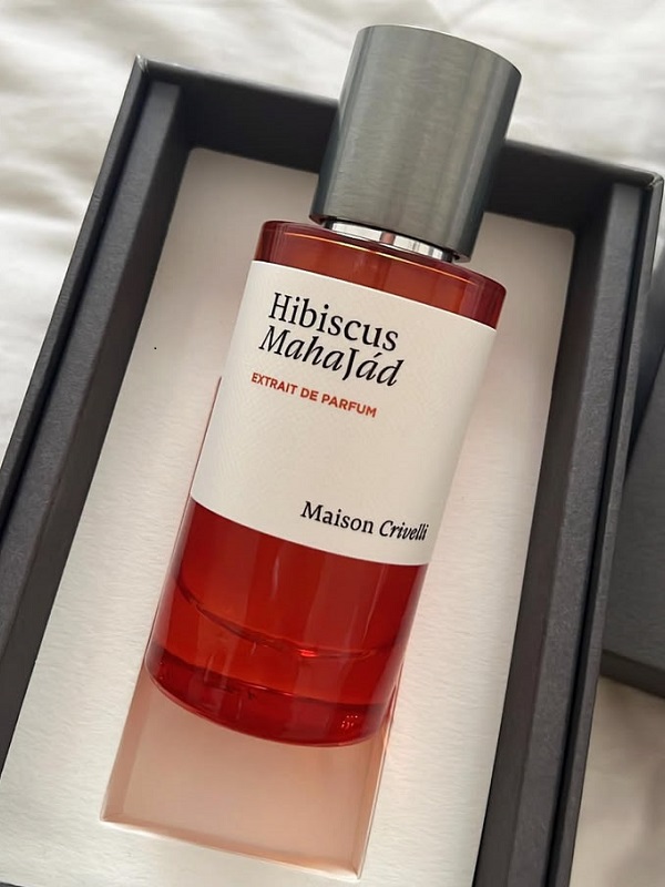 Maison Crivelli Hibiscus Mahajad.jpg Maison Crivelli Hibiscus Mahajad